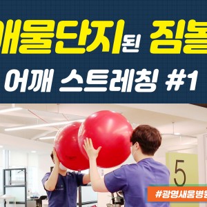 e0f19e42fd43d63a8098524b722f25b5_1_짐볼스트레칭_애물단지_광명새움병원_새움병원_어깨스트레칭_짐볼어깨가동운동.jpg