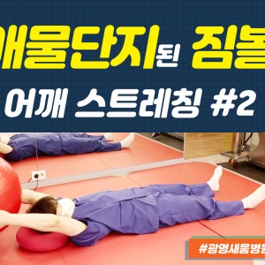 e0f19e42fd43d63a8098524b722f25b5_2_짐볼스트레칭_애물단지_광명새움병원_새움병원_어깨스트레칭_짐볼어깨가동운동.jpg