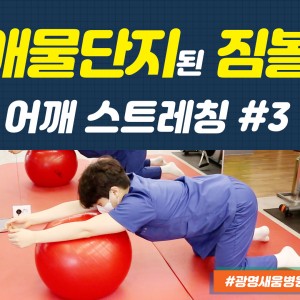 e0f19e42fd43d63a8098524b722f25b5_3_짐볼스트레칭_애물단지_광명새움병원_새움병원_어깨스트레칭_짐볼어깨가동운동.jpg