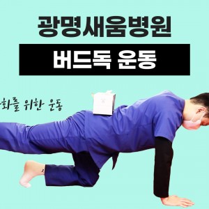 e0f19e42fd43d63a8098524b722f25b5_버드독운동_새움병원.jpg
